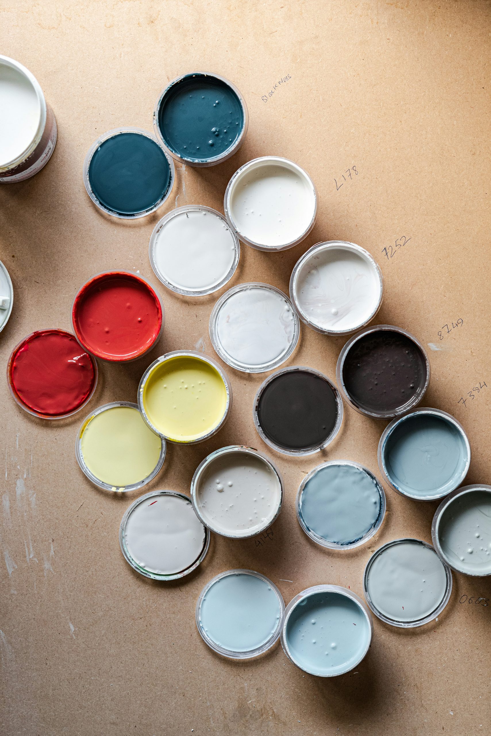 Photo des peintures naturelles de Céline Gravier, Ô Peintre Enchanteur, sur un chantier.